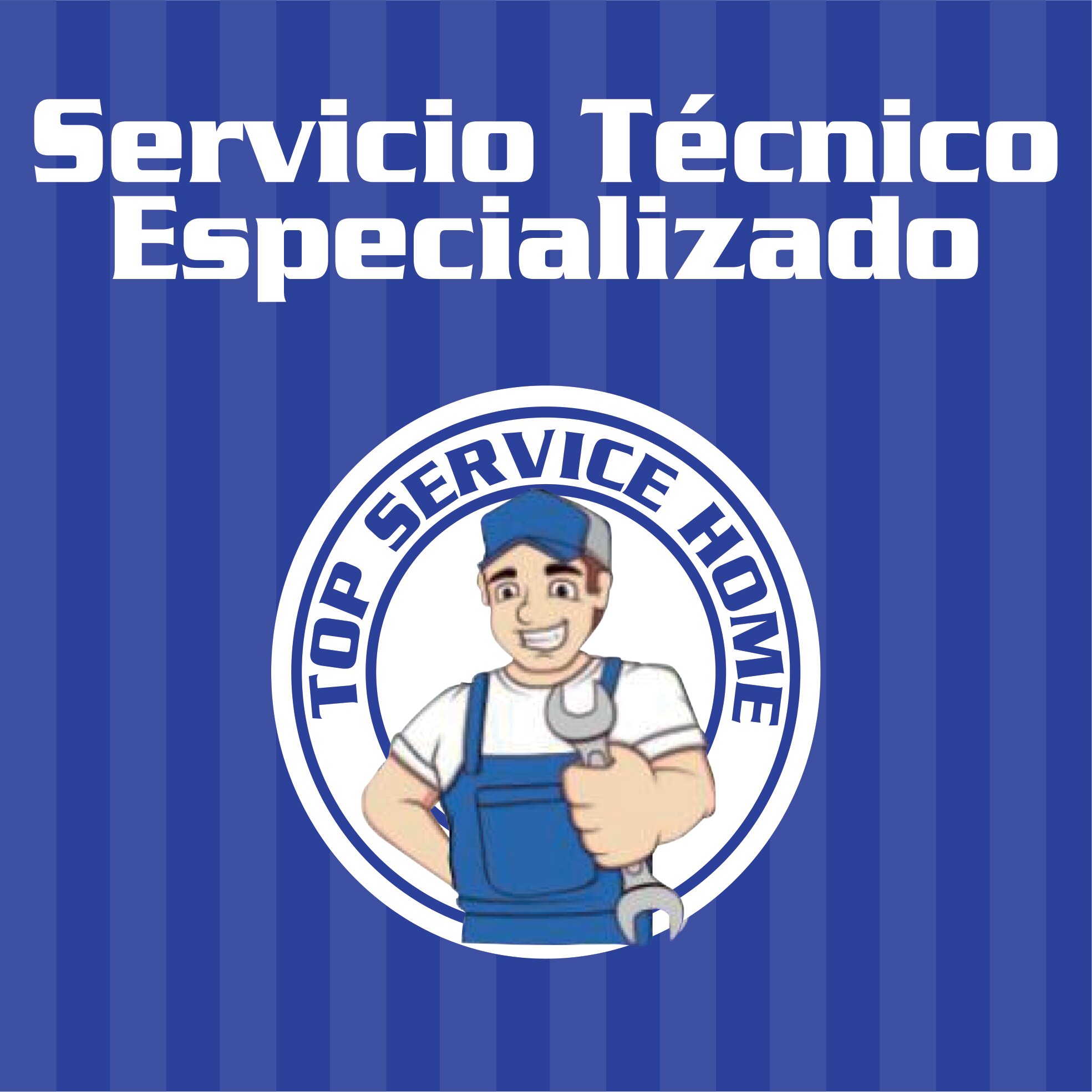 Servicio Técnico Especializado